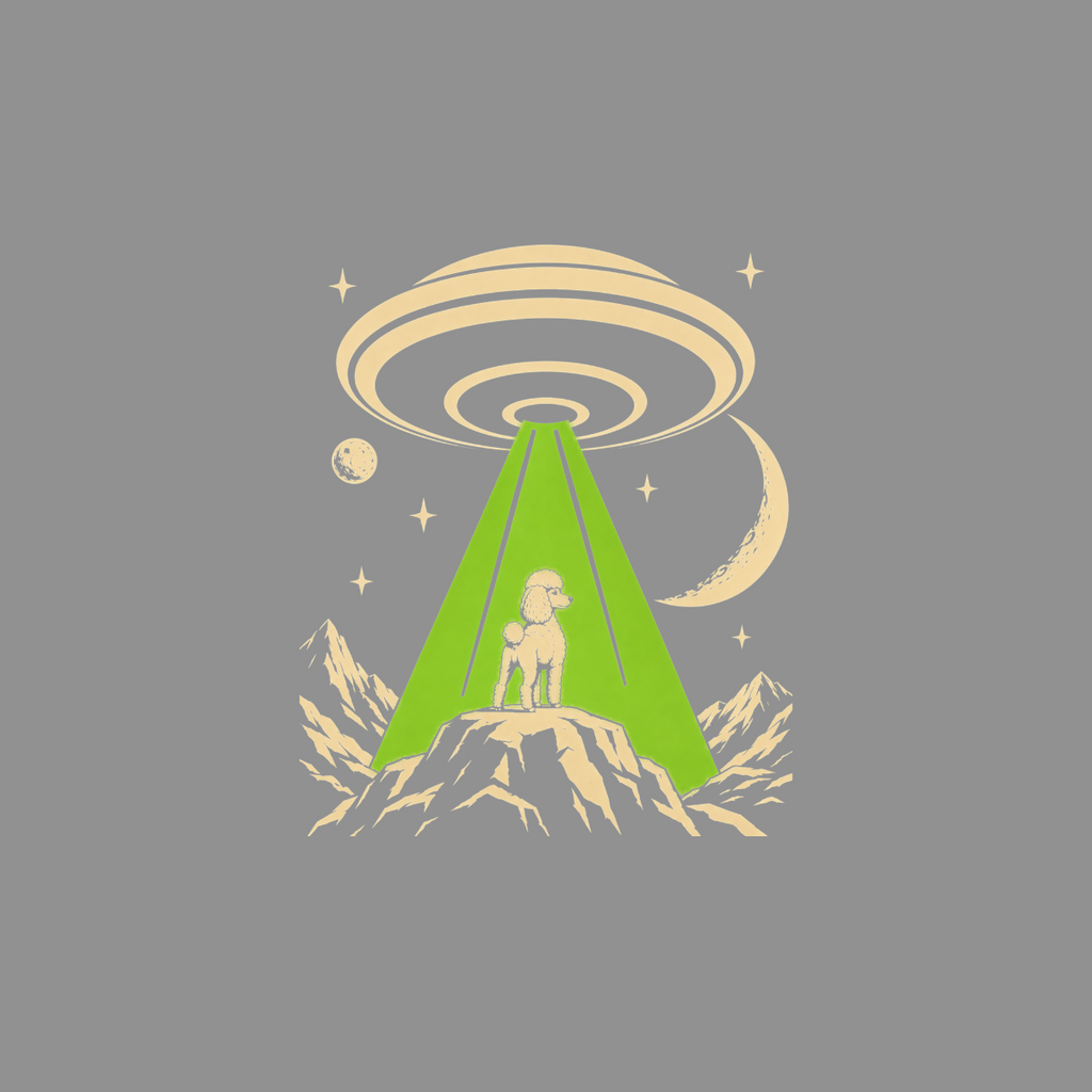 Poodle stands on mountain under a UFO with a green beam.