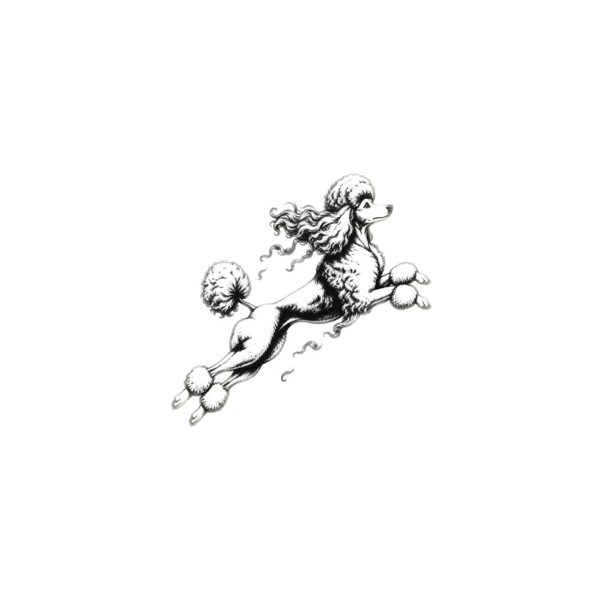Black and white illustration of a poodle jumping mid-air.