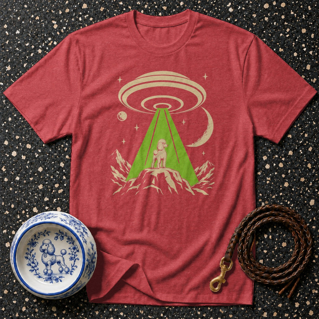 Red t-shirt with poodle on mountain under UFO and light beam.