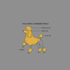 Field notes diagram of a standard poodle with labels: premium upholstery, judgment zone, do not touch, negotiable.