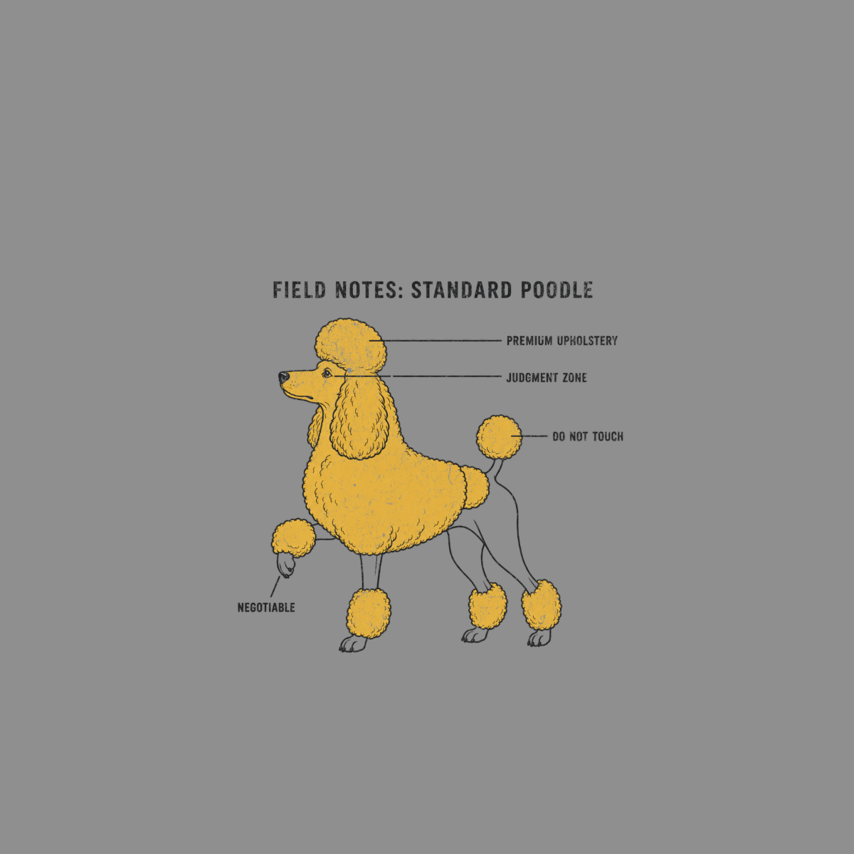 Field notes diagram of a standard poodle with labels: premium upholstery, judgment zone, do not touch, negotiable.
