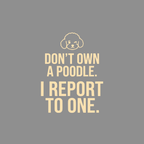 Poodle Boss: I Report to One Premium T-Shirt Poodle Owner T-Shirt | Don't Own A Poodle