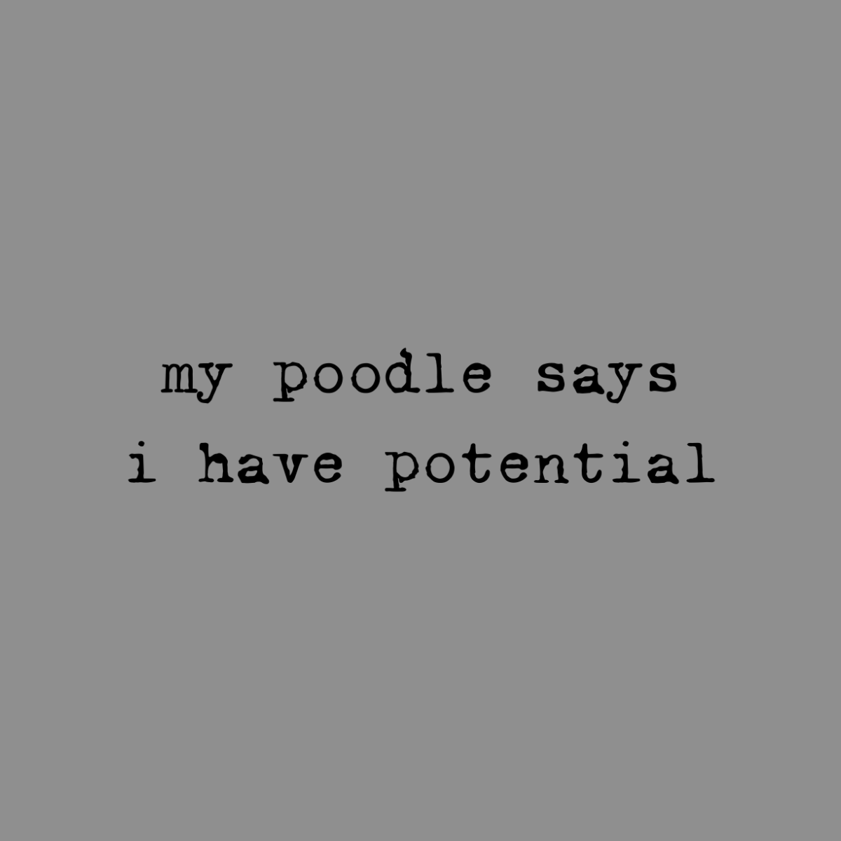 Text reads "my poodle says i have potential" on a gray background.