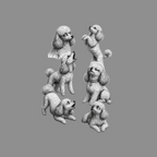 Six poodles in various poses, rendered in black and white on a gray background.