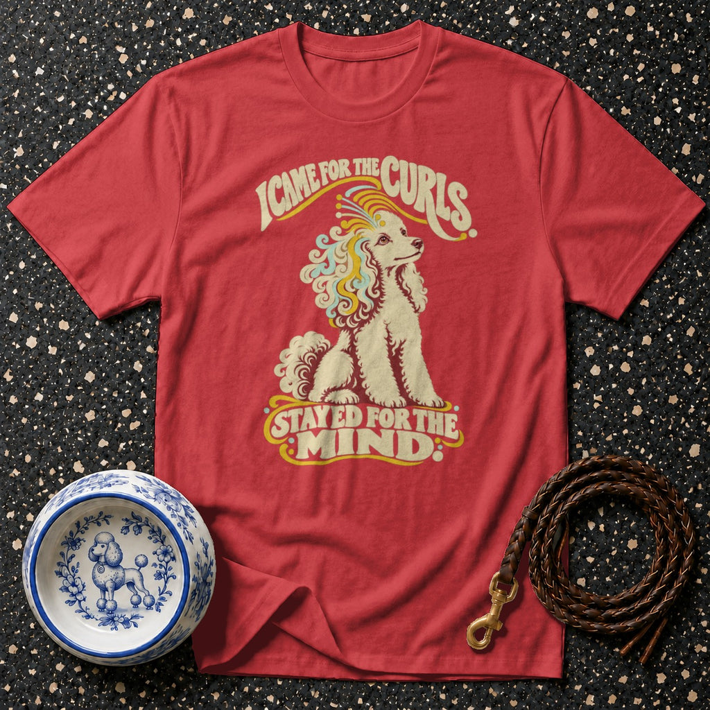 Red t-shirt with poodle graphic and text "I came for the curls, stayed for the mind".