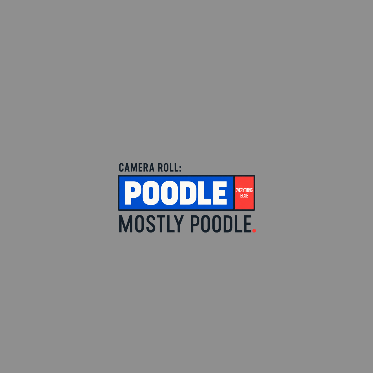 Camera roll text: POODLE EVERYTHING ELSE, MOSTLY POODLE.