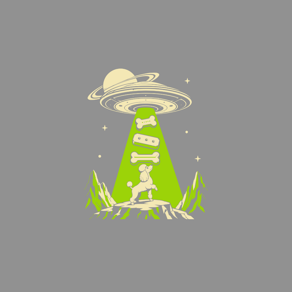 Poodle being abducted by a UFO with bones in a beam of light.