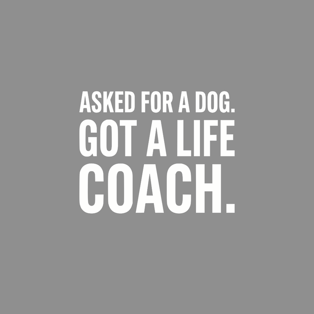 White text on gray reads: Asked for a dog. Got a life coach.