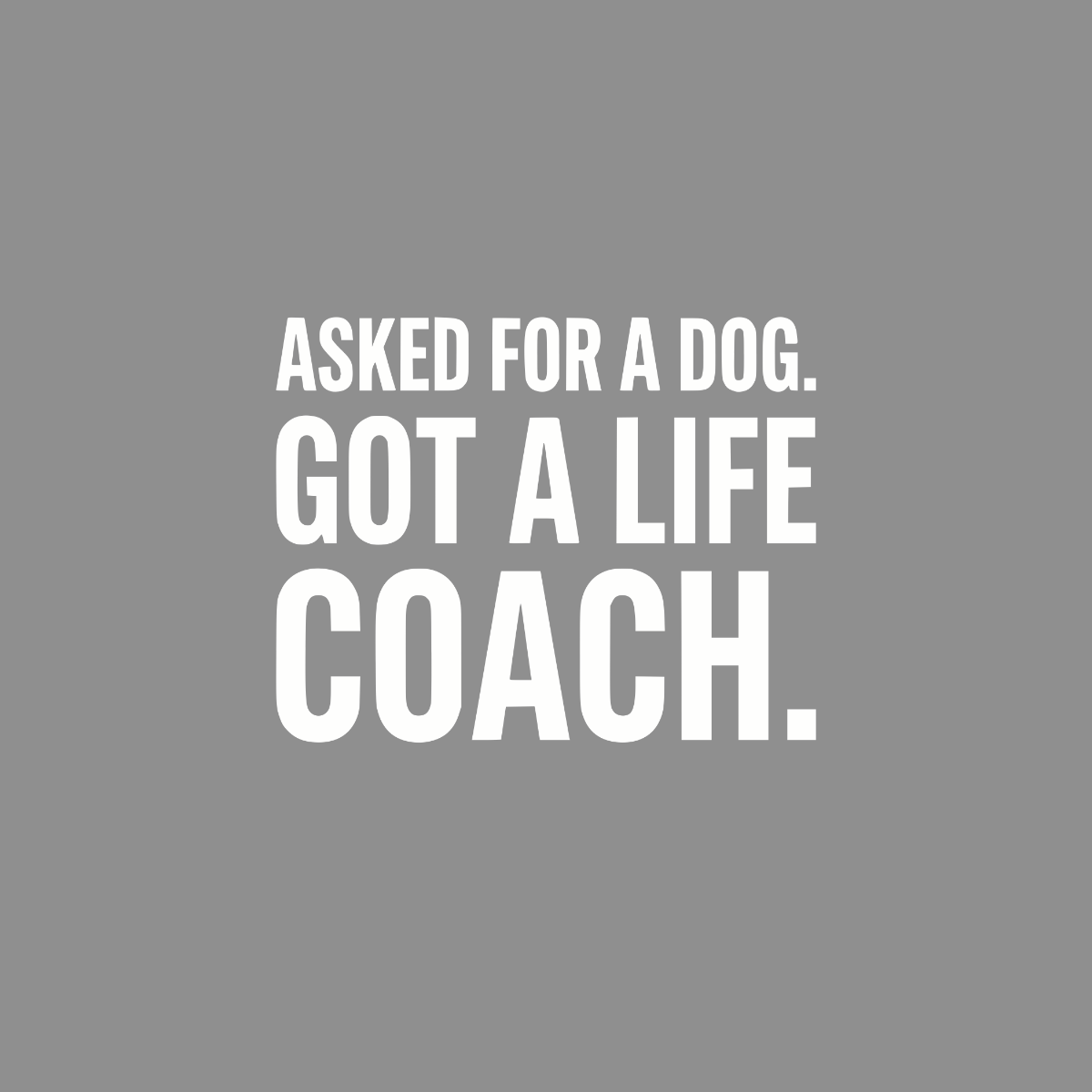 White text on gray reads: Asked for a dog. Got a life coach.