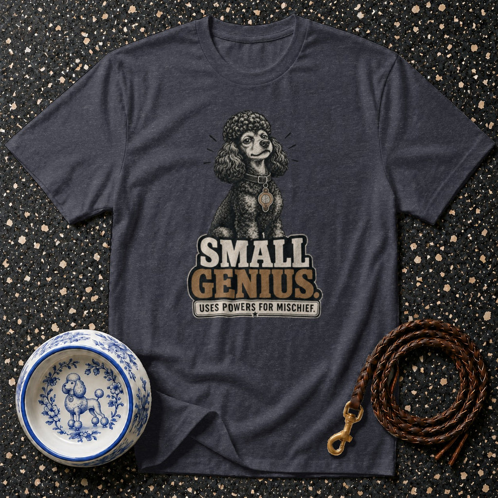 Dark grey t-shirt with a poodle graphic and text "SMALL GENIUS USES POWERS FOR MISCHIEF".