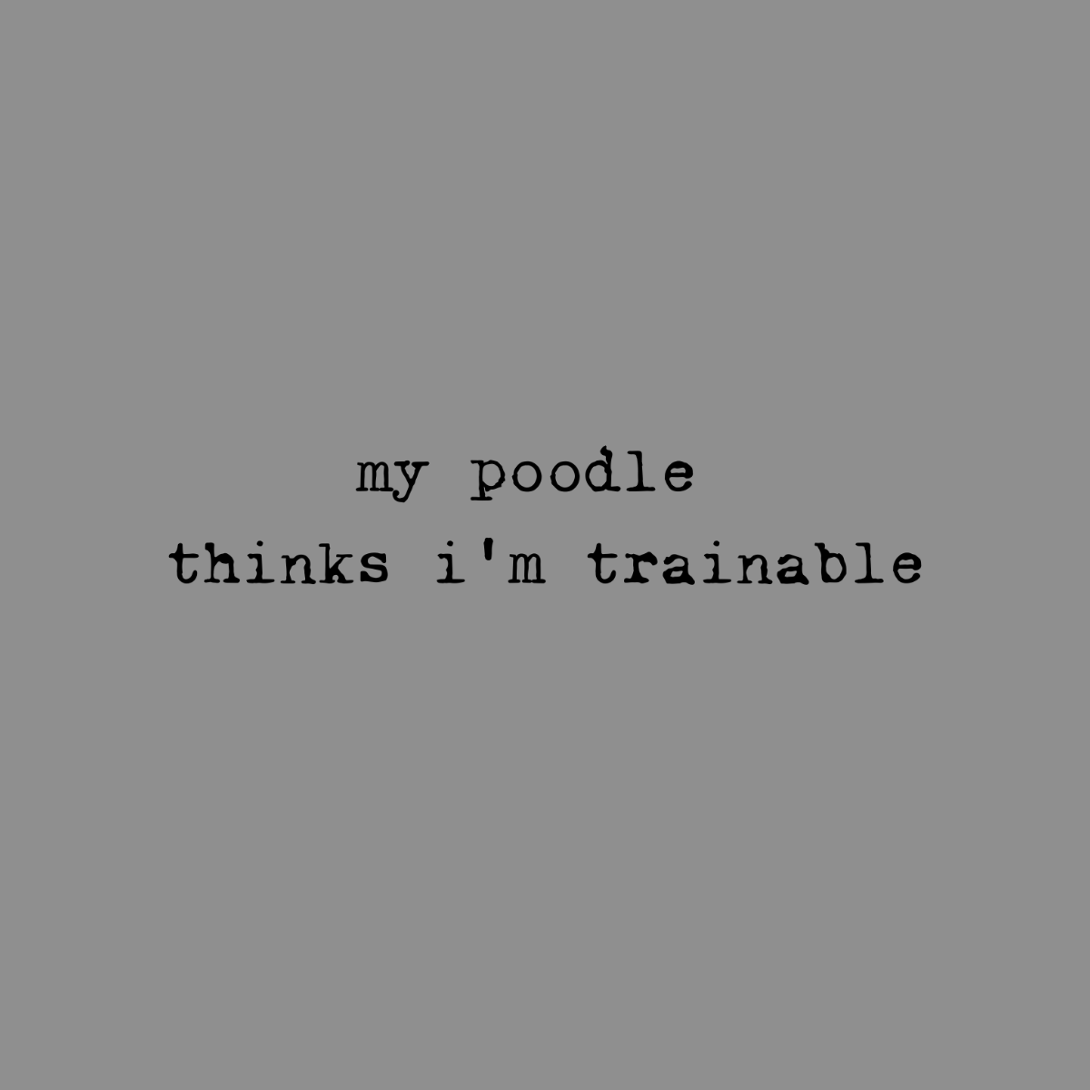 My poodle thinks I'm trainable text on a gray background.