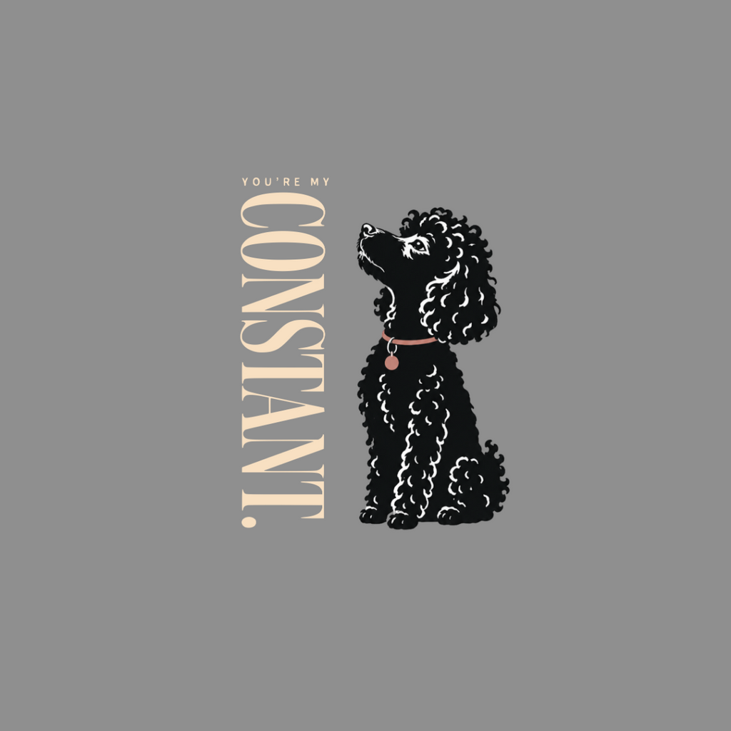 Black poodle with collar and text "You're My Constant."