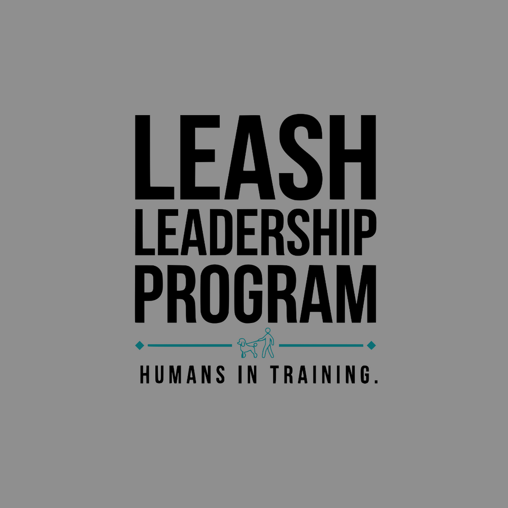Leash Leadership Program Humans in Training.