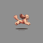 Illustration of a running apricot poodle with text "Grace, but faster." below.