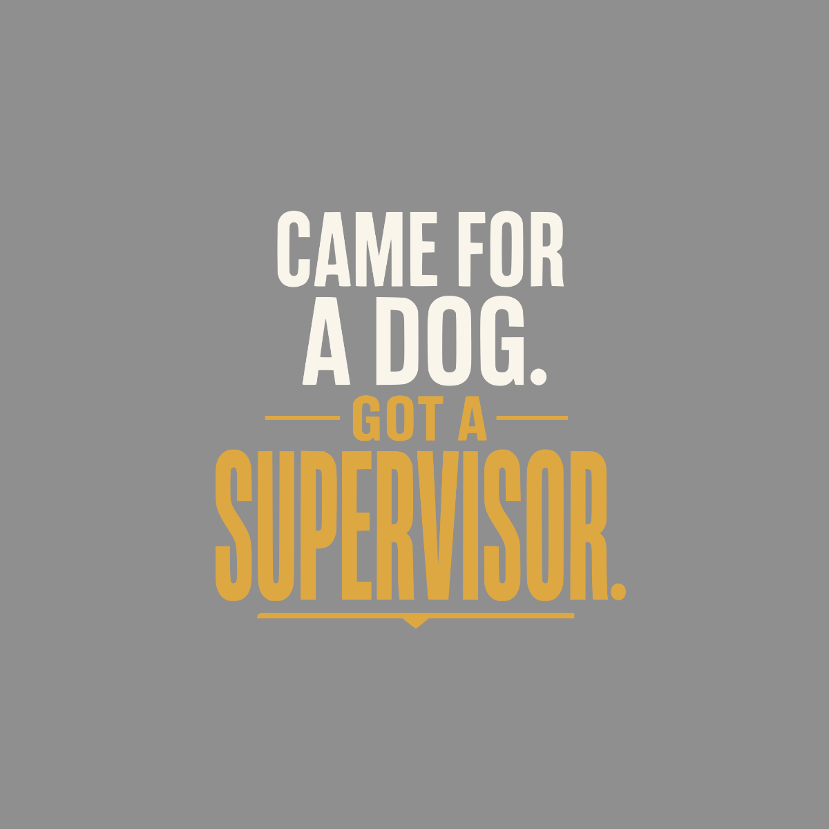 Came for a dog, got a supervisor text on gray background.