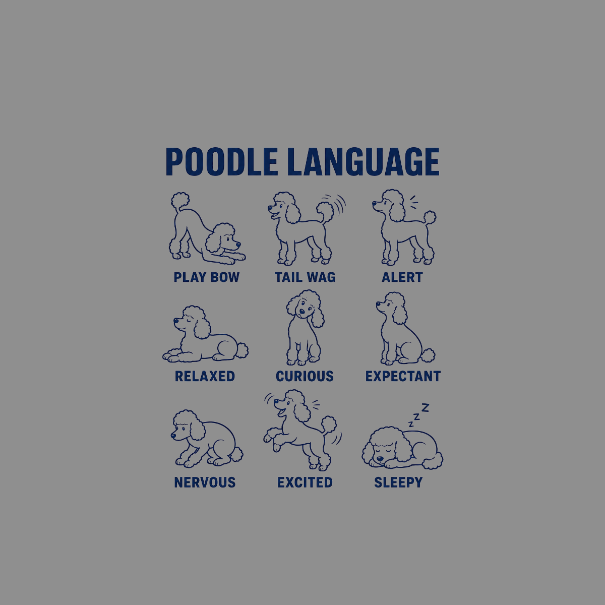 Poodle Language chart showing eight different poses with descriptions: play bow, tail wag, alert, relaxed, curious, expectant, nervous, excited, and sleepy.