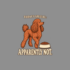 Orange poodle stands next to a bowl of food with text "TODAY'S SPECIAL: APPARENTLY NOT."