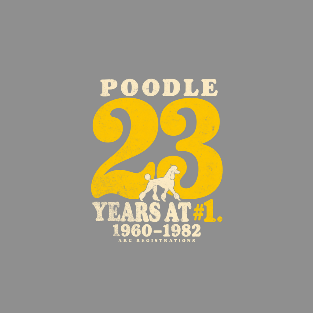 Poodle 23 years at #1, 1960-1982 AKC registrations graphic.