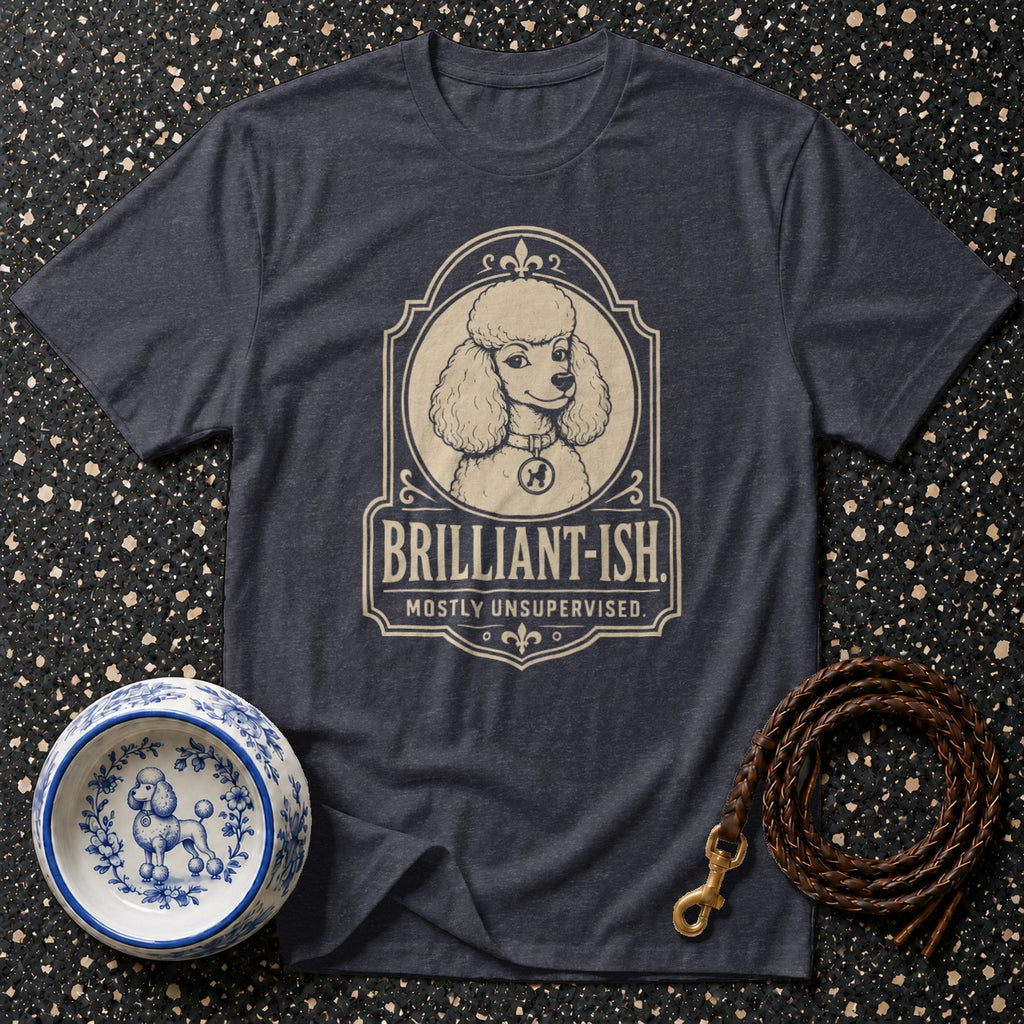 Dark t-shirt with poodle graphic and text "Brilliant-ish. Mostly Unsupervised."