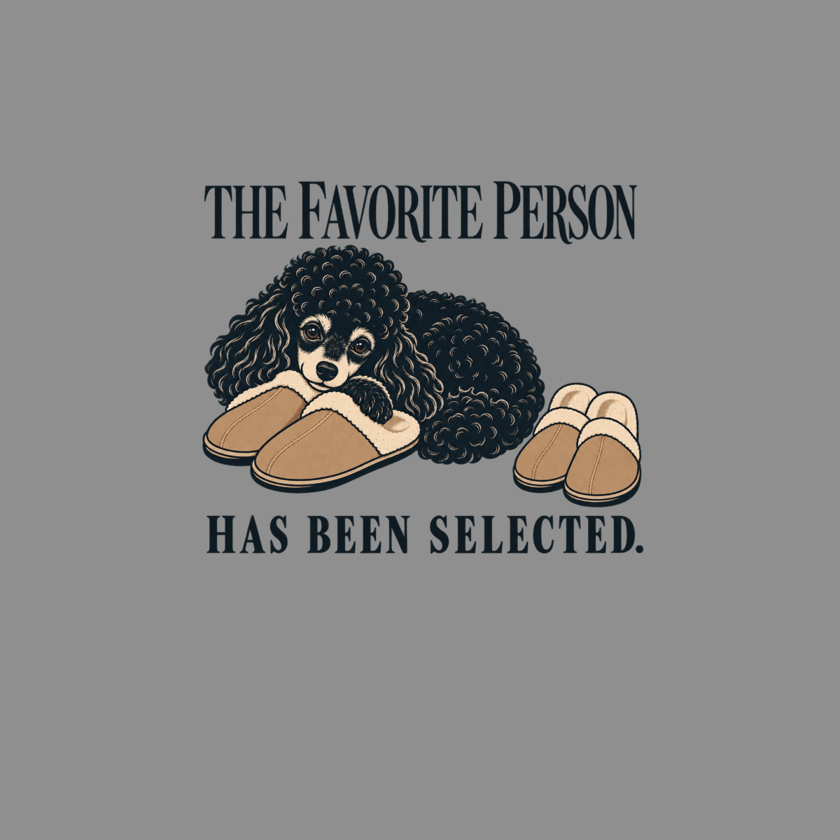 Black poodle with slippers, text reads "THE FAVORITE PERSON HAS BEEN SELECTED."