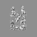Poodles in various poses: sitting, standing, howling, and playing with toys.
