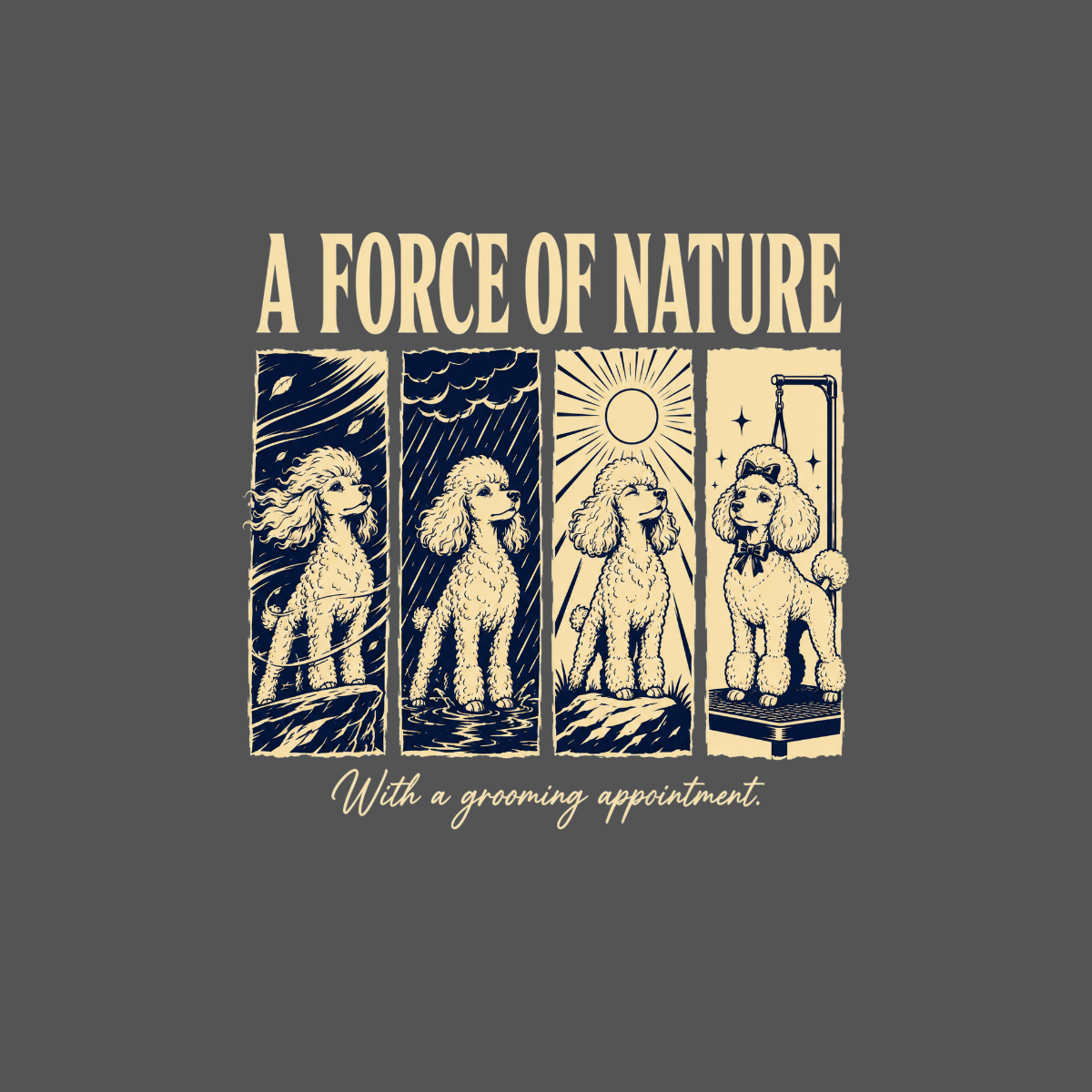 Four poodles depicted in different weather and grooming settings with text "A FORCE OF NATURE".
