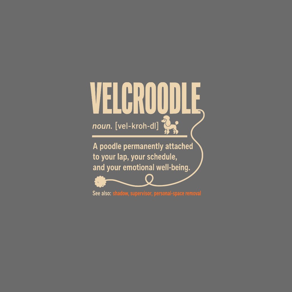 Velcroodle noun definition with poodle icon and related terms.