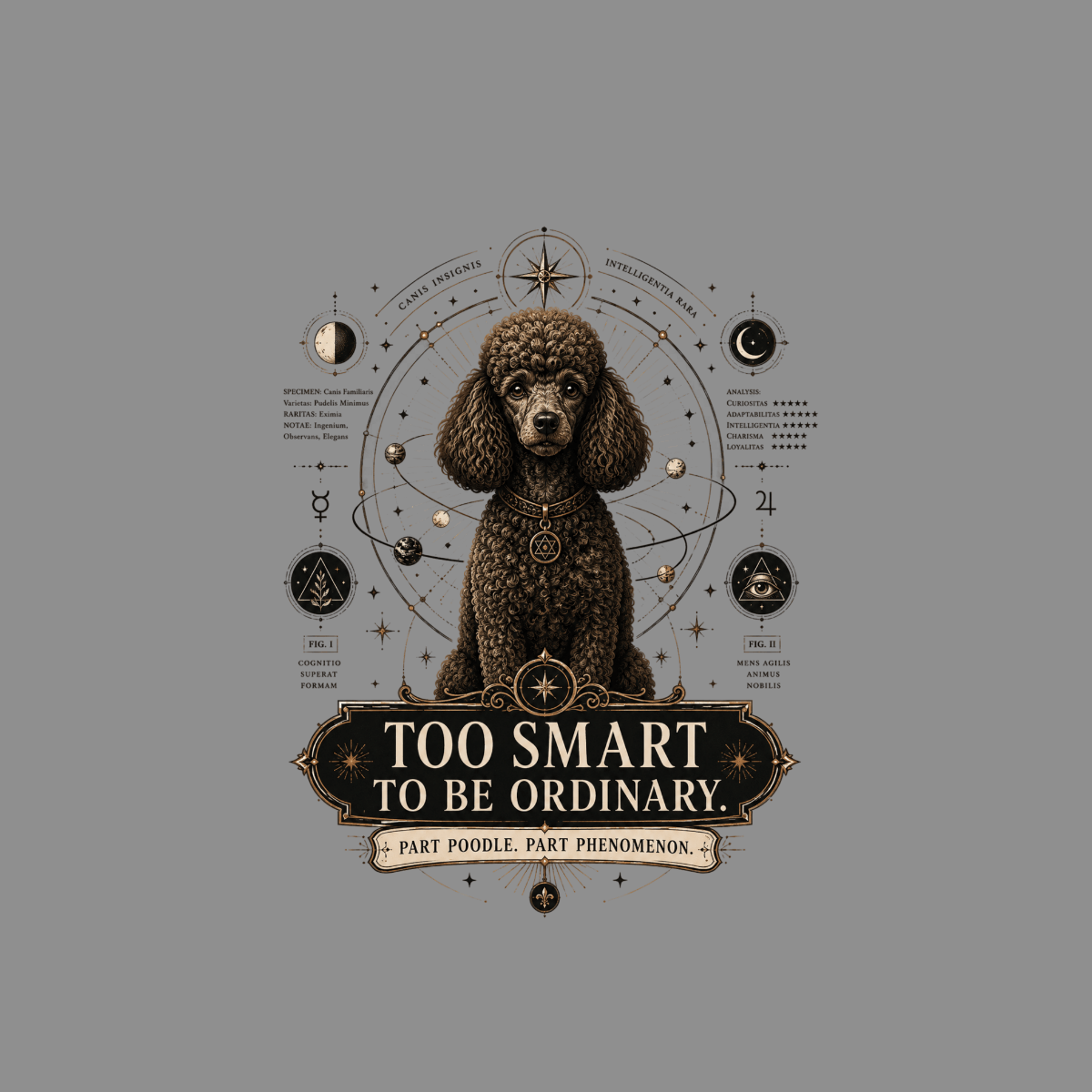 Brown poodle amid astrological charts with text "Too Smart To Be Ordinary".
