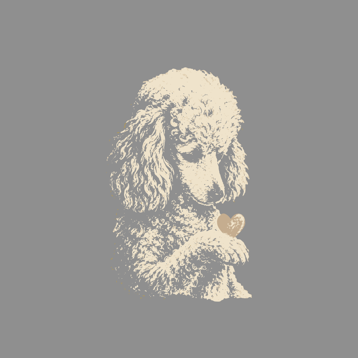 Cream poodle holding a gold heart on a gray background.