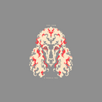 Stylized poodle face art with text "YOU SAW A POODLE TOO." on gray background.
