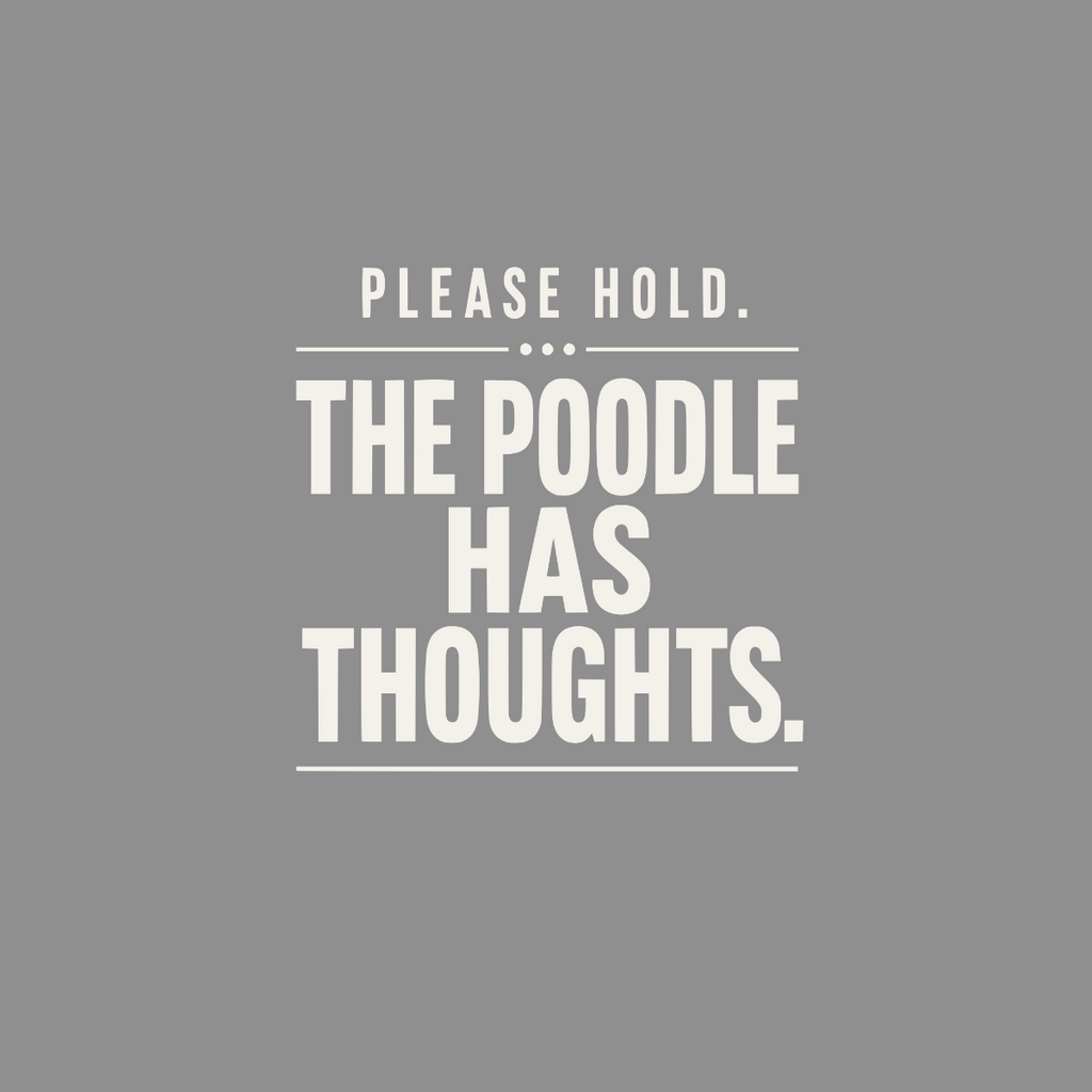 Please hold. The poodle has thoughts.