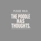 Please hold. The poodle has thoughts.