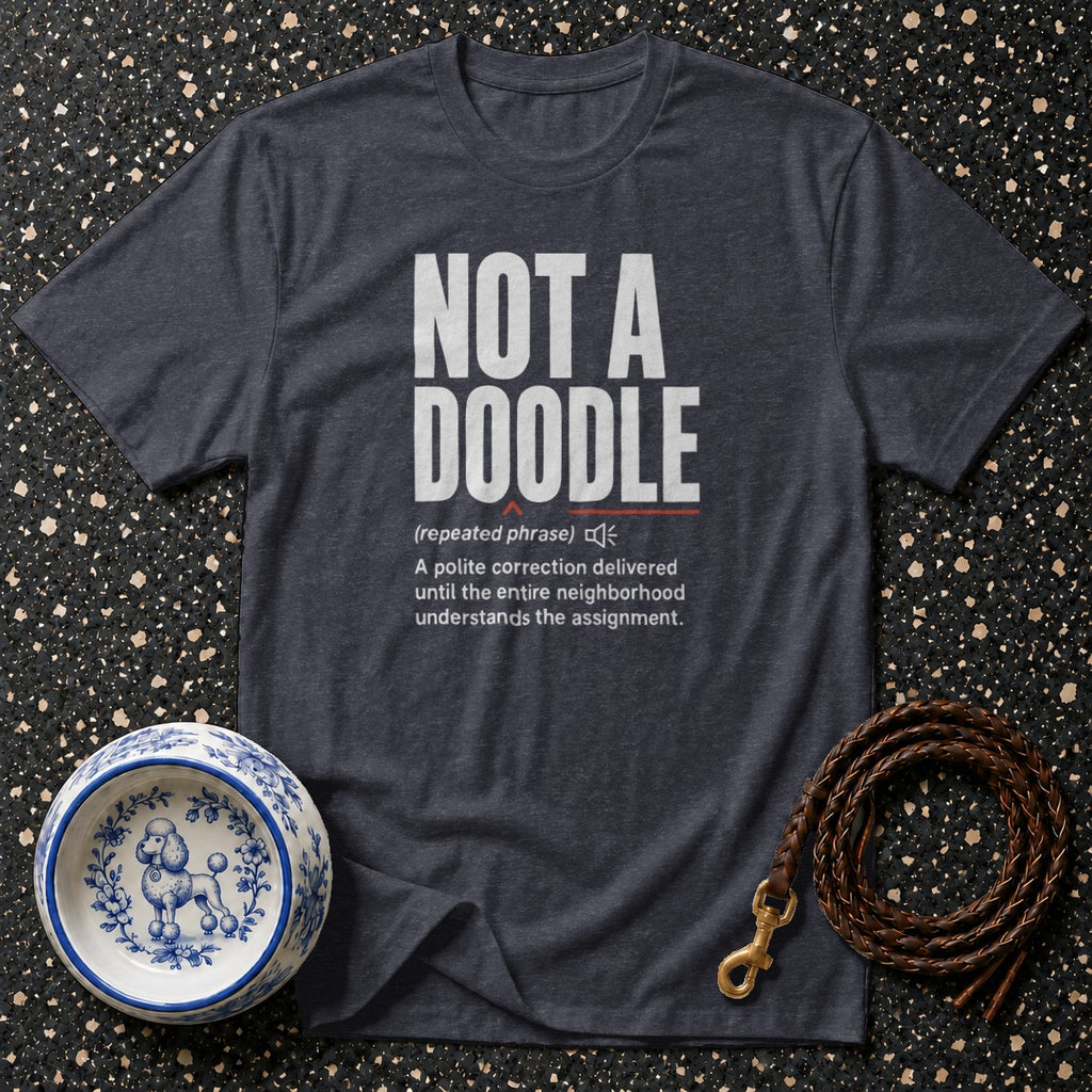 Dark grey t-shirt with "NOT A DOODLE" and definition text.