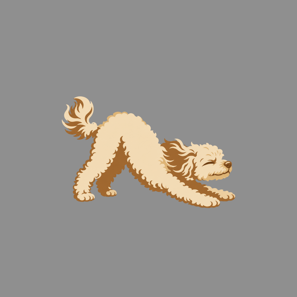 T-shirt Morning Stretch Poodle T-Shirt Playful Poodle T-Shirt | Premium Dog Apparel