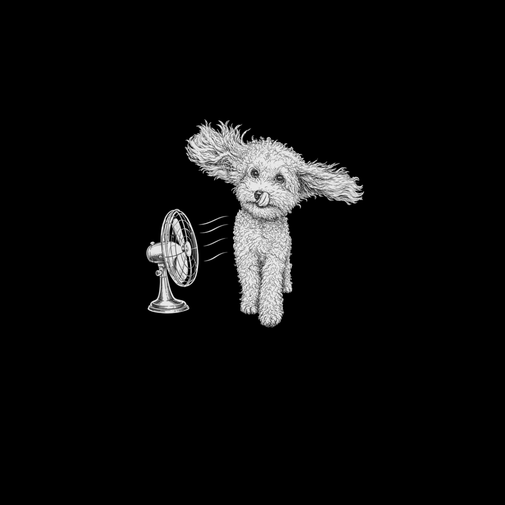 Fluffy white dog with ears blown back by a fan on a black background.