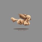 Brown poodle in mid-air with flowing curly fur and text "Apparently we're flying now."