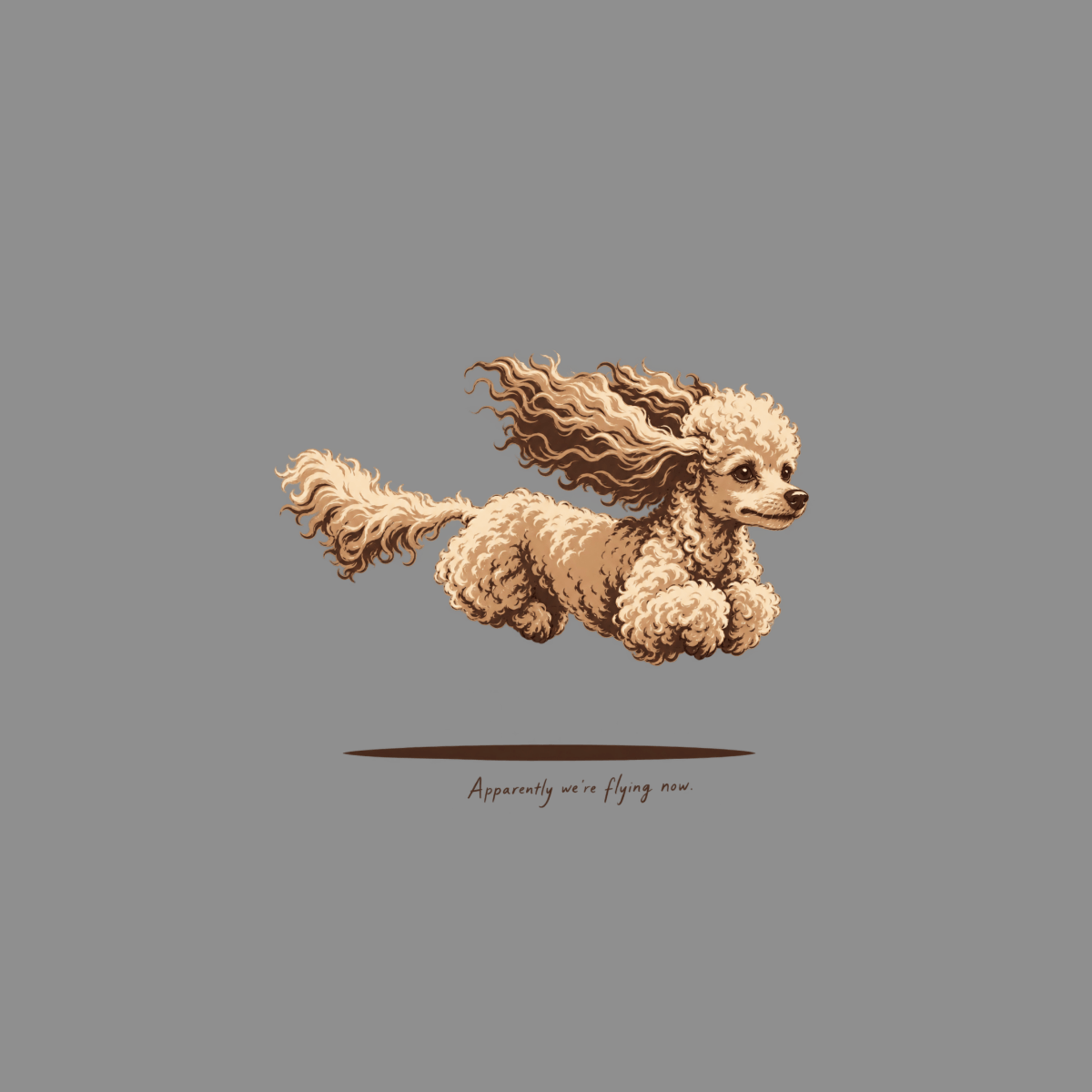 Brown poodle in mid-air with flowing curly fur and text "Apparently we're flying now."