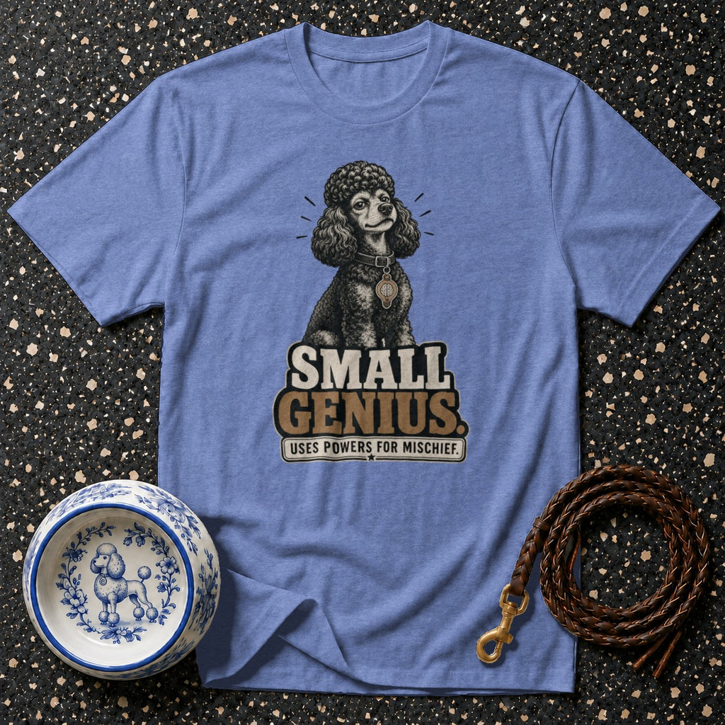 Blue t-shirt with poodle graphic and text "Small Genius".