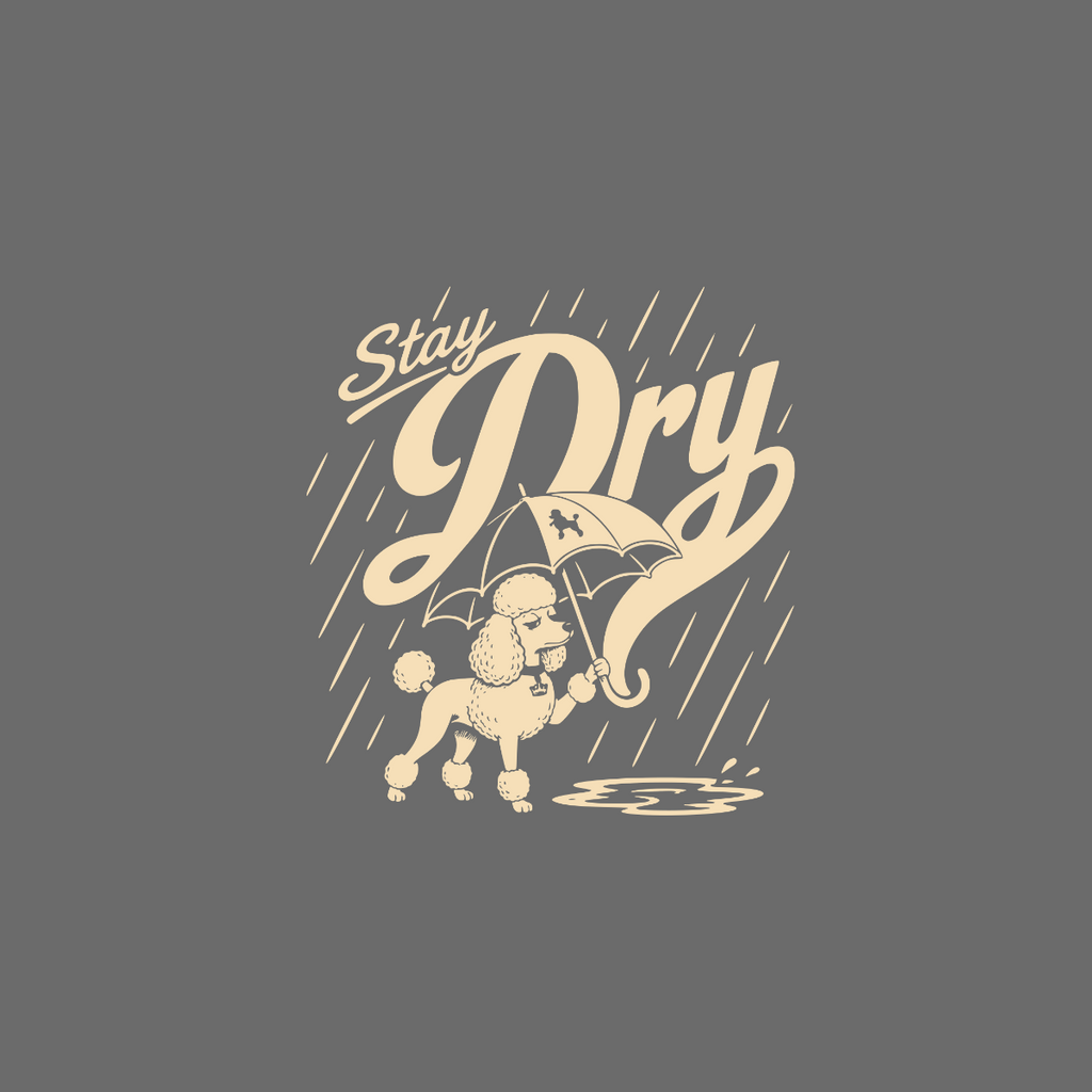 Poodle holding umbrella in rain with text "Stay Dry".