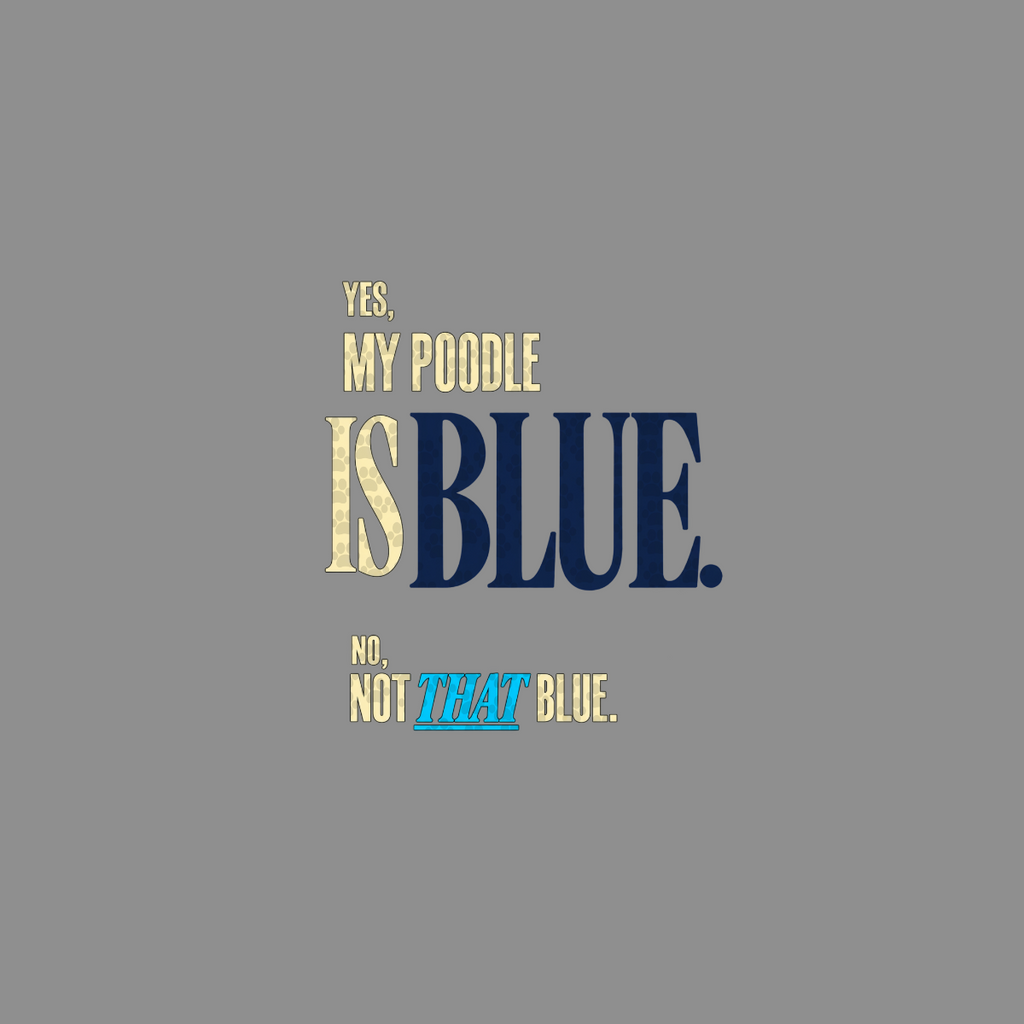 Yes, my poodle is blue. No, not that blue.