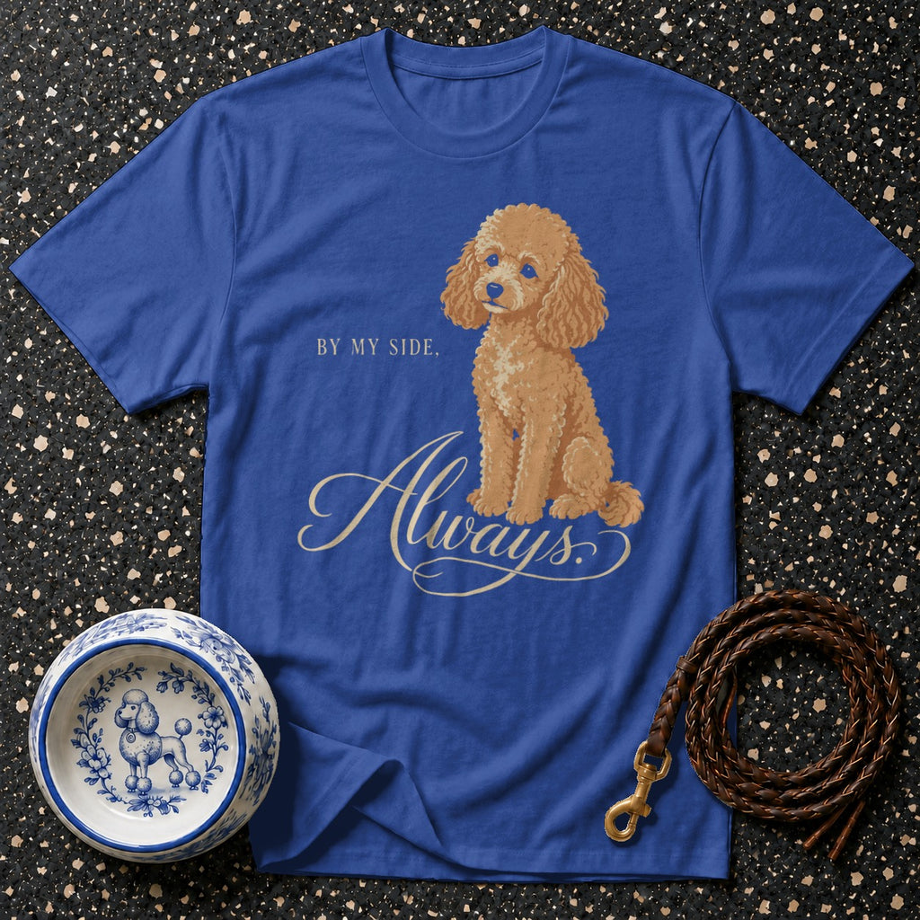 Blue t-shirt with poodle graphic and "Always" text.