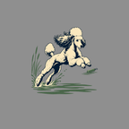 T-shirt Vintage Water Retriever Poodle T-Shirt Vintage Poodle T-Shirt | Retro Dog Graphic Tee
