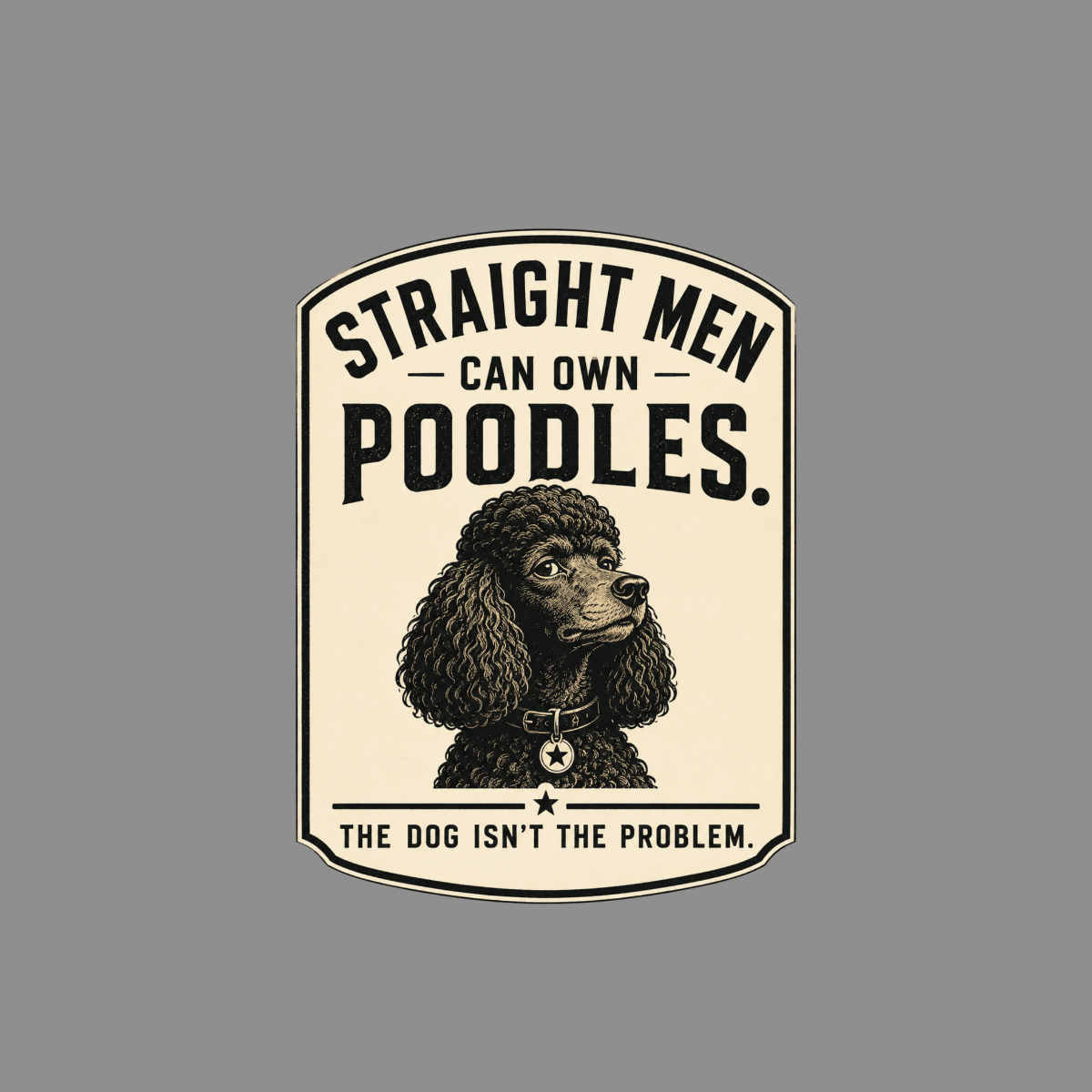 Illustration with text: "Straight men can own poodles. The dog isn't the problem."