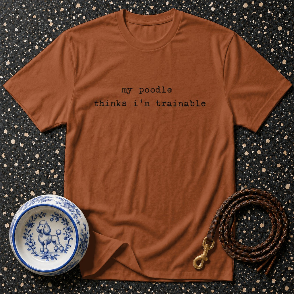 Brown t-shirt with "my poodle thinks i'm trainable" text, dog bowl, and leash.