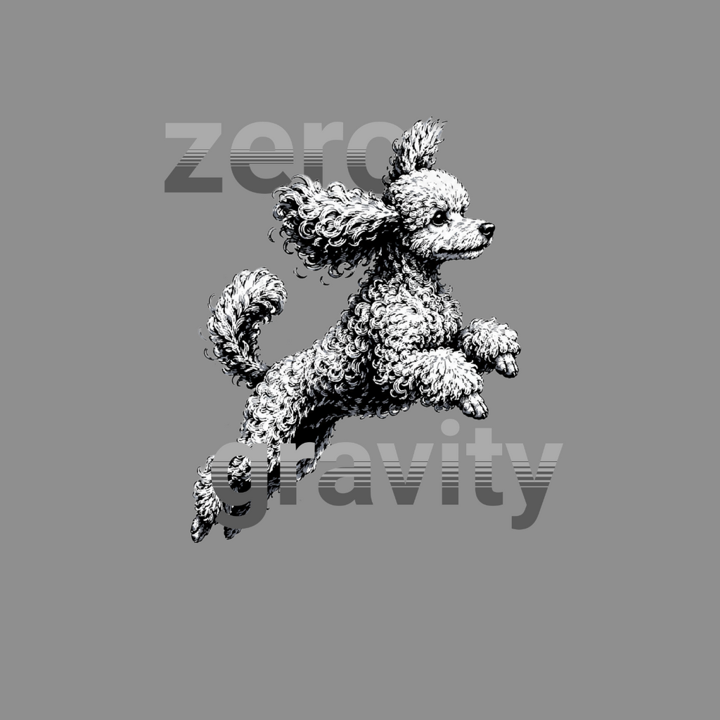 Poodle jumping in mid-air with text "zero gravity" on a gray background.