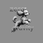 Poodle jumping in mid-air with text "zero gravity" on a gray background.
