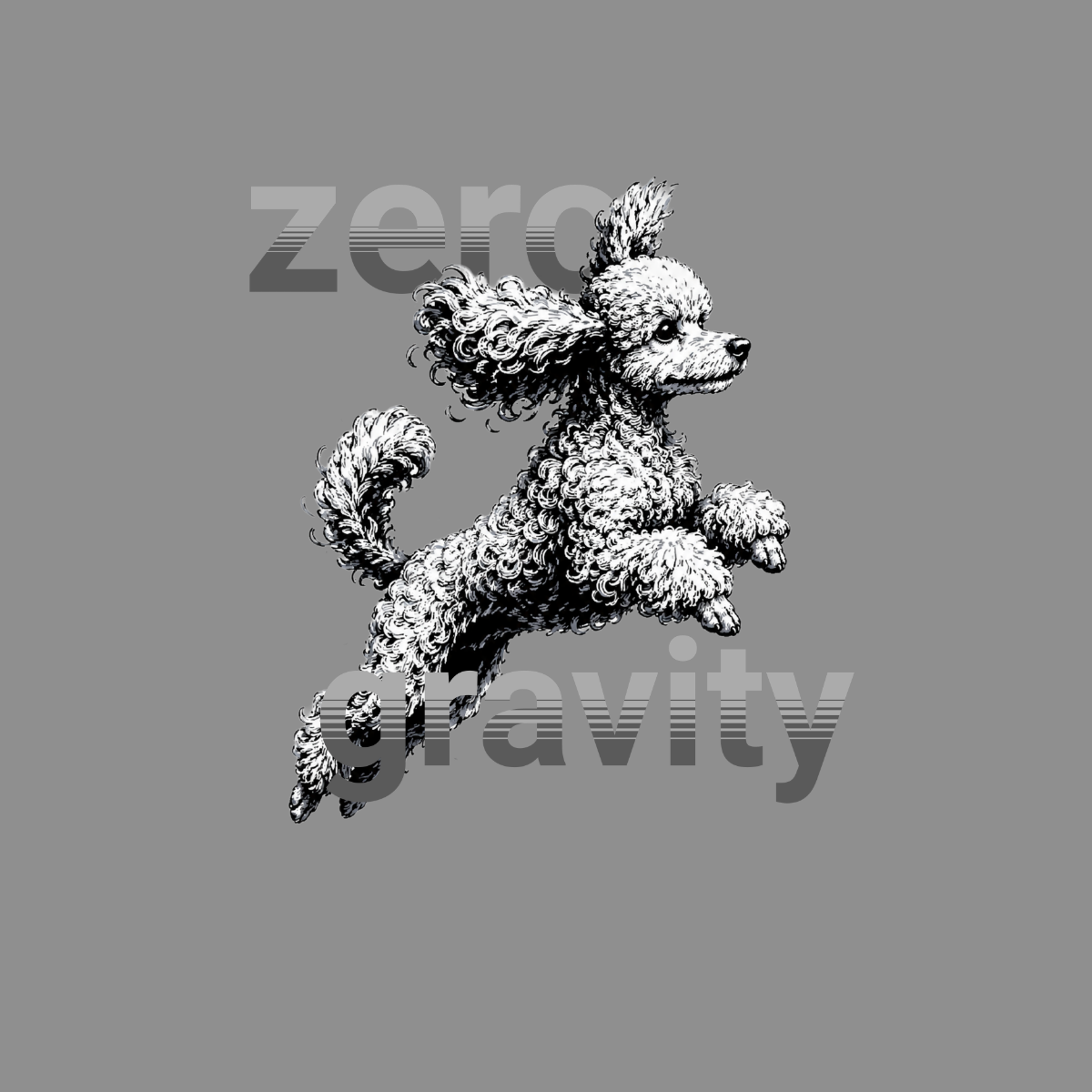 Poodle jumping in mid-air with text "zero gravity" on a gray background.