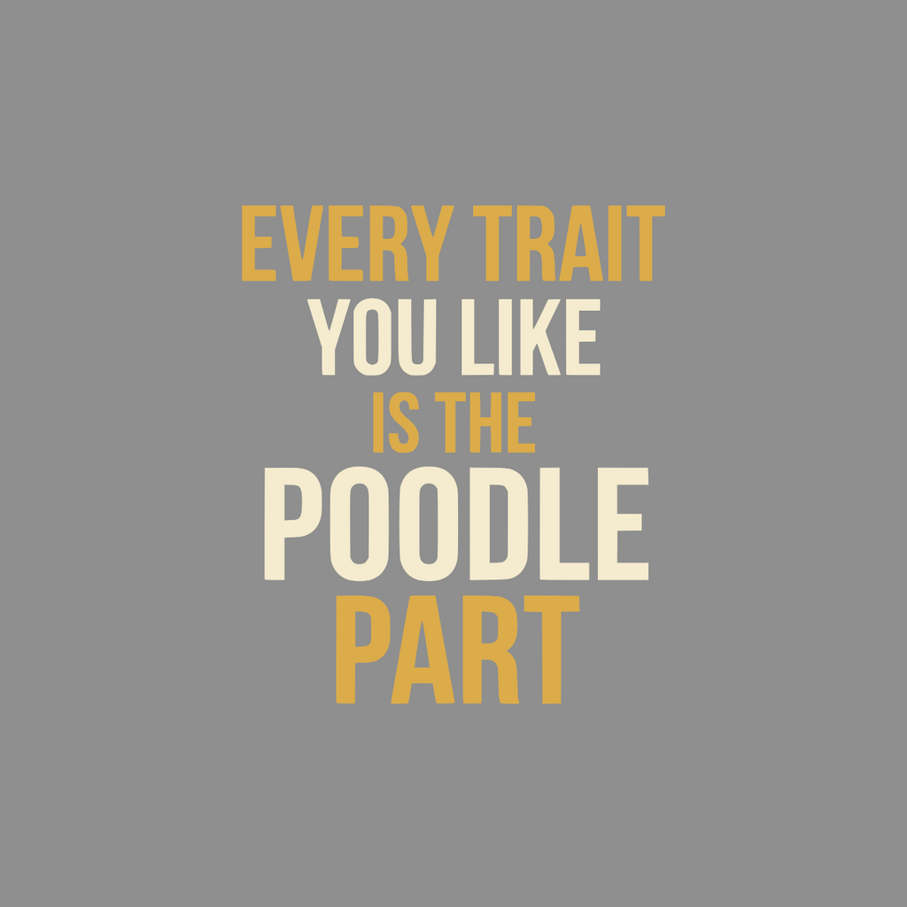 Every trait you like is the poodle part text on grey background.