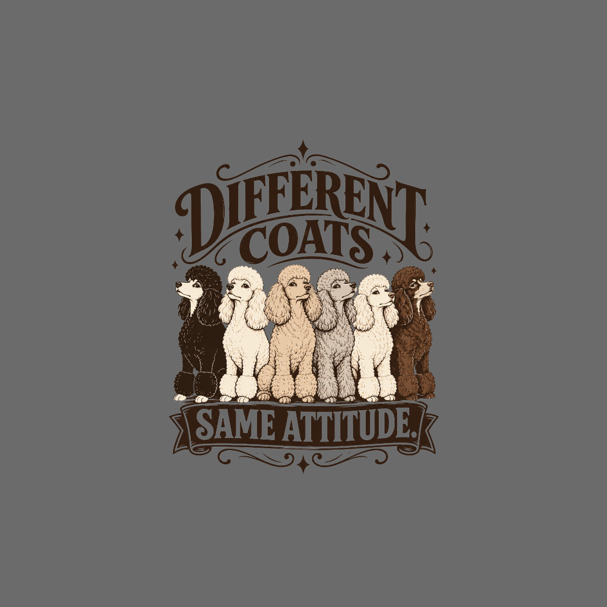 Six poodles of different coat colors stand in a line with text "DIFFERENT COATS SAME ATTITUDE".