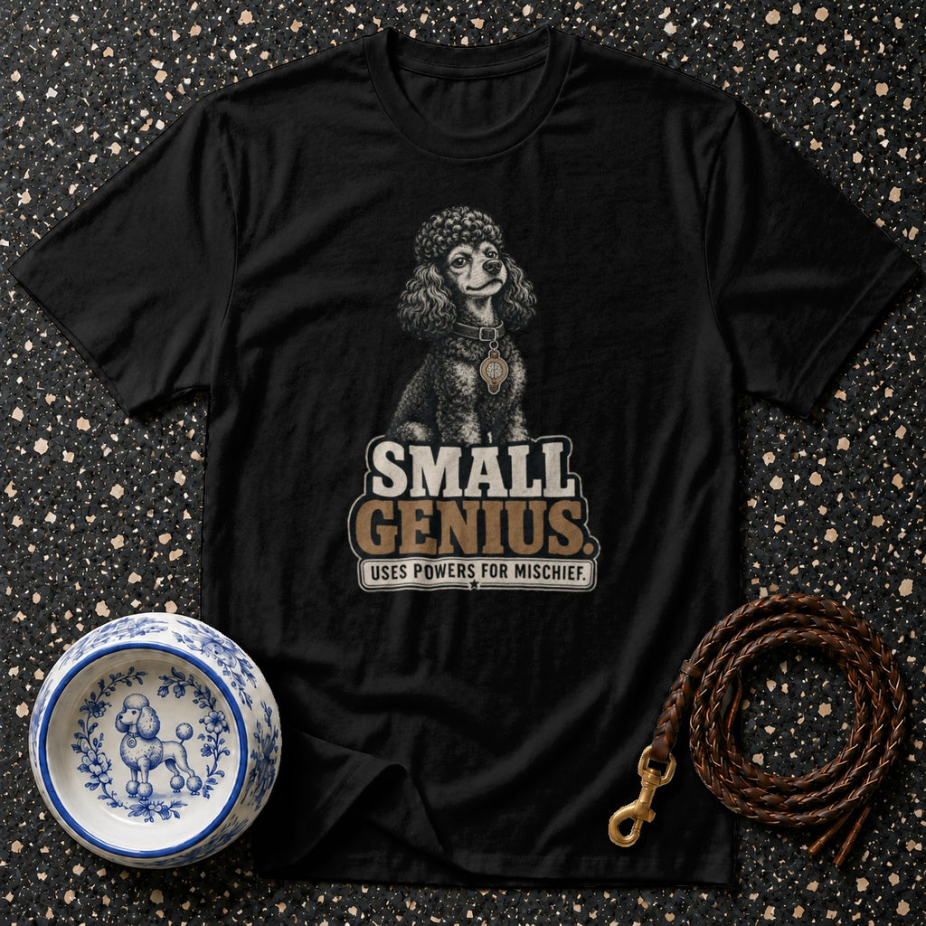 Black t-shirt with a poodle graphic and text: "SMALL GENIUS USES POWERS FOR MISCHIEF."
